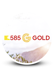 Разработка мобильного приложения «585 GOLD»